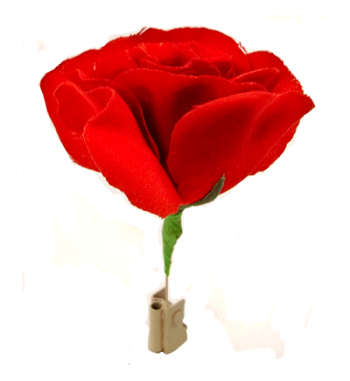 Match to Rose by Mr. Magic