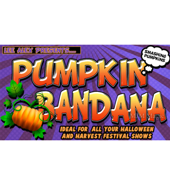 PUMPKIN BANDANA by Lee Alex...