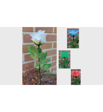 Remote Light Rose...