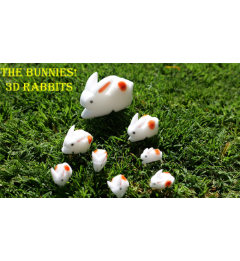 ¡Los Conejitos! Conejos 3D...