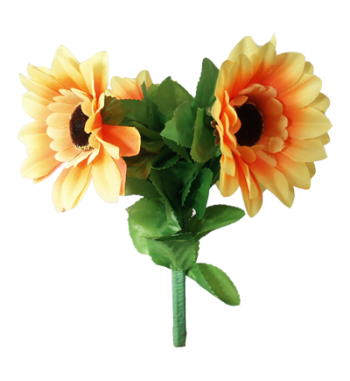 Amazing Split Sunflower by...
