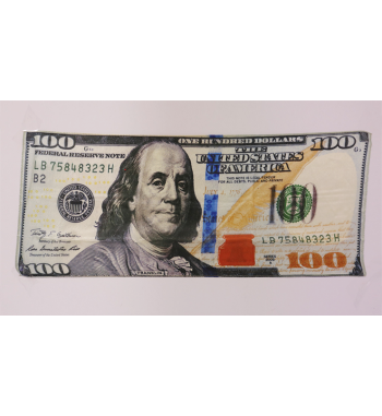 Silk 18 inch $100 Bill from...
