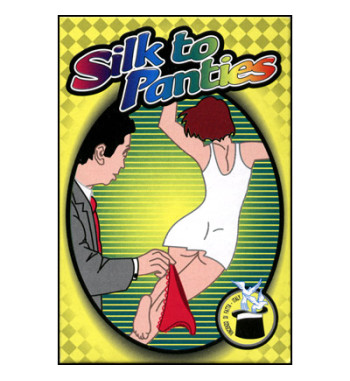 Silk to Panties by Vincenzo...