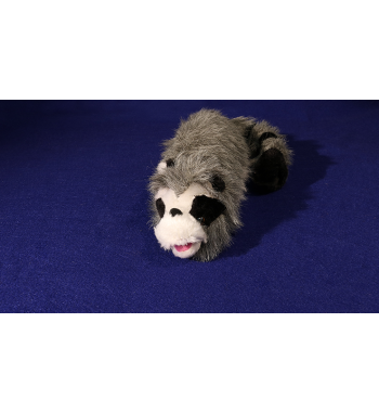 Roxie The Raccoon (Spring...