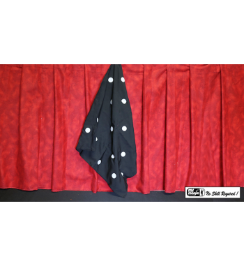 Polka Dot Silk (18" x 18")...